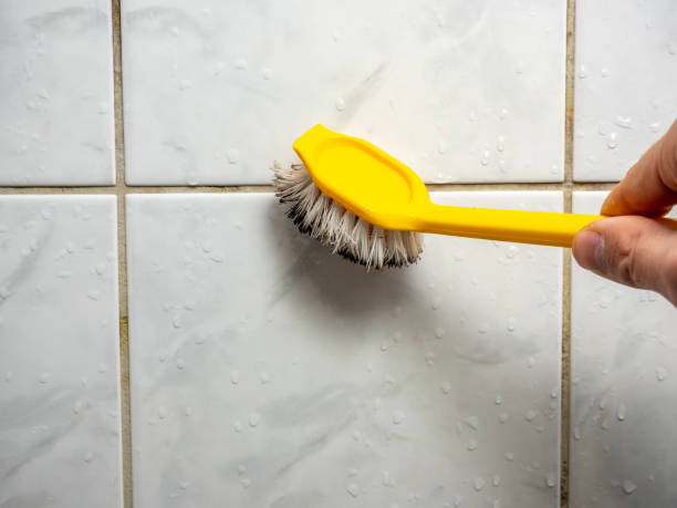 Best Mold Removal Process  in Red Chute, LA