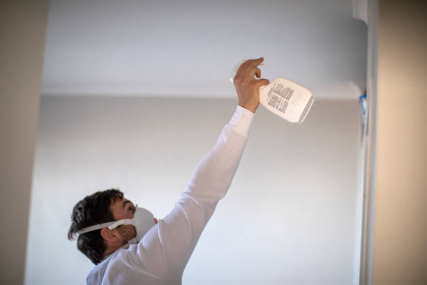 Best Residential Mold Removal  in Red Chute, LA