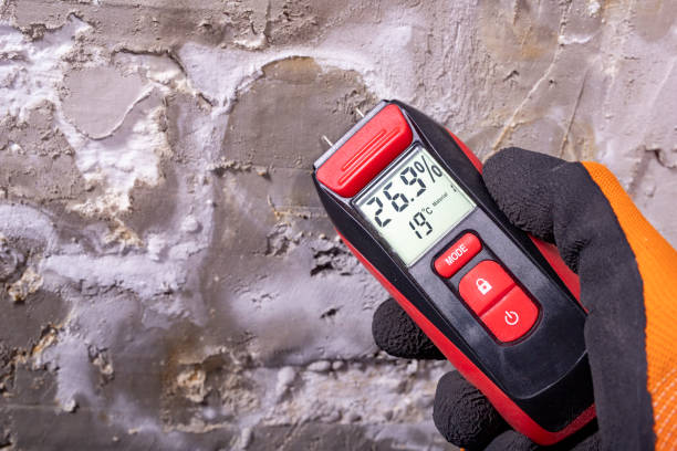 Best Certified Mold Removal  in Red Chute, LA