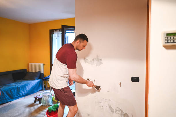 Best Mold Remediation  in Red Chute, LA